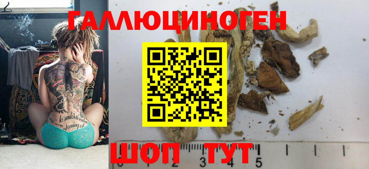 Мариинск  Галлюциногенные грибы MAGIC MUSHROOMS  Вход с VPN 