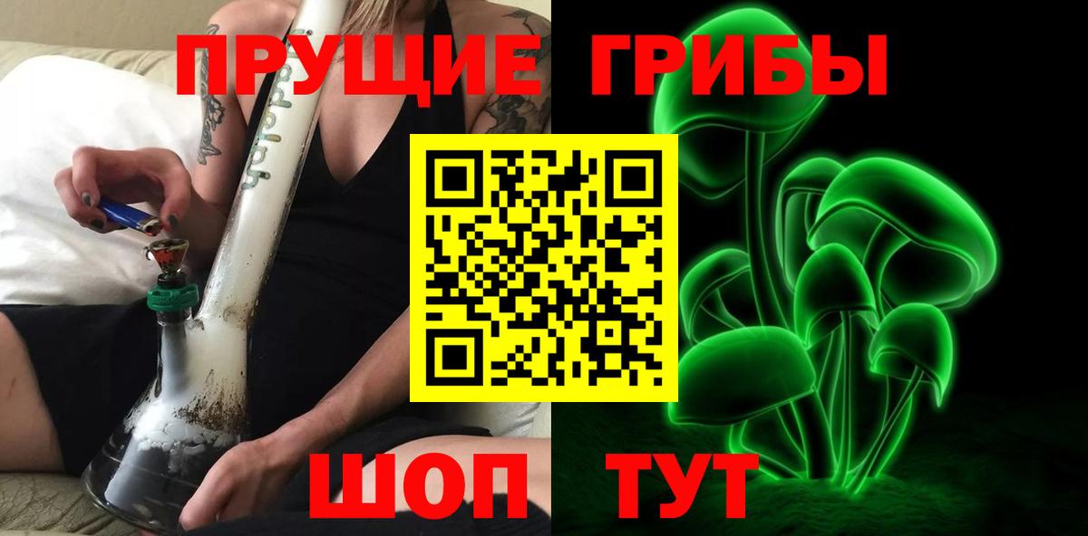 Псилоцибиновые грибы Psilocybine cubensis Мариинск